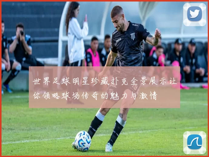 世界足球明星珍藏扑克全景展示让你领略球场传奇的魅力与激情
