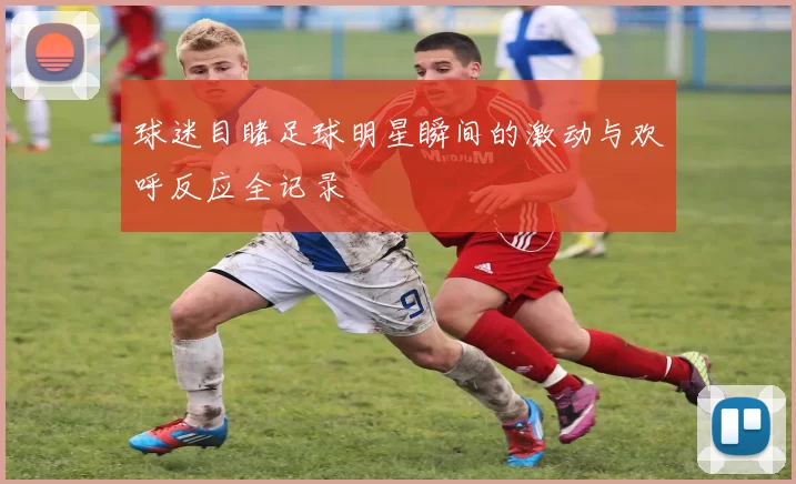 球迷目睹足球明星瞬间的激动与欢呼反应全记录