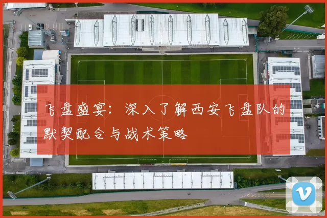 飞盘盛宴：深入了解西安飞盘队的默契配合与战术策略