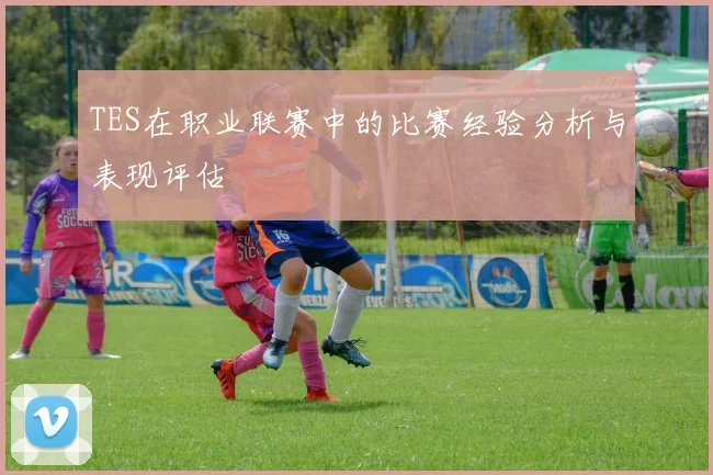 TES在职业联赛中的比赛经验分析与表现评估