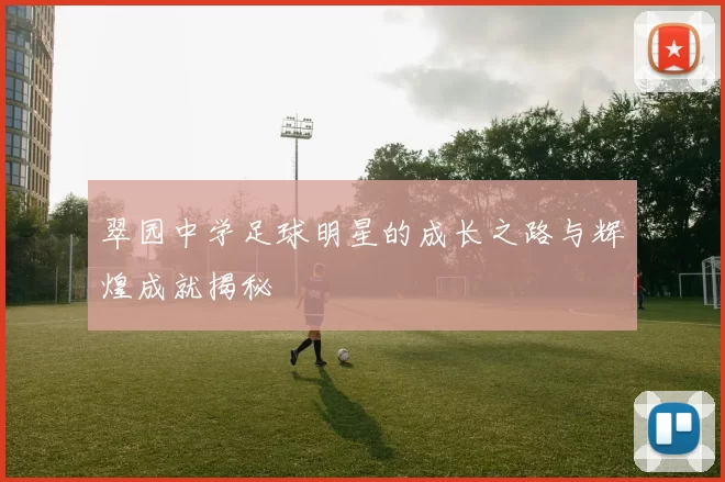 翠园中学足球明星的成长之路与辉煌成就揭秘