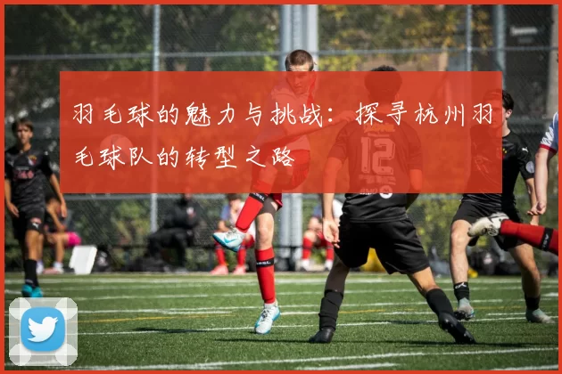 羽毛球的魅力与挑战：探寻杭州羽毛球队的转型之路