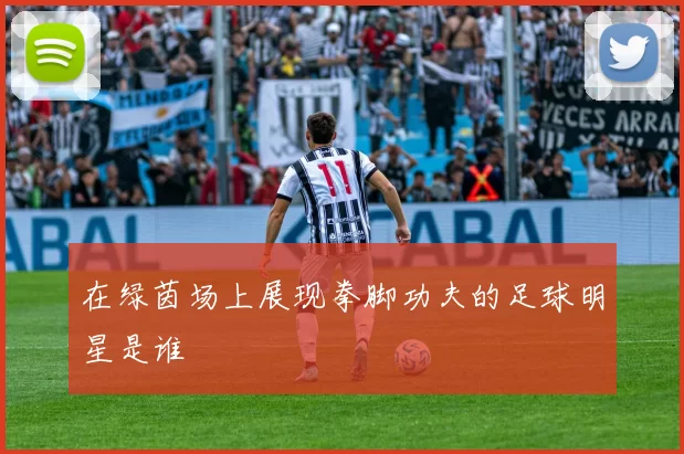 在绿茵场上展现拳脚功夫的足球明星是谁