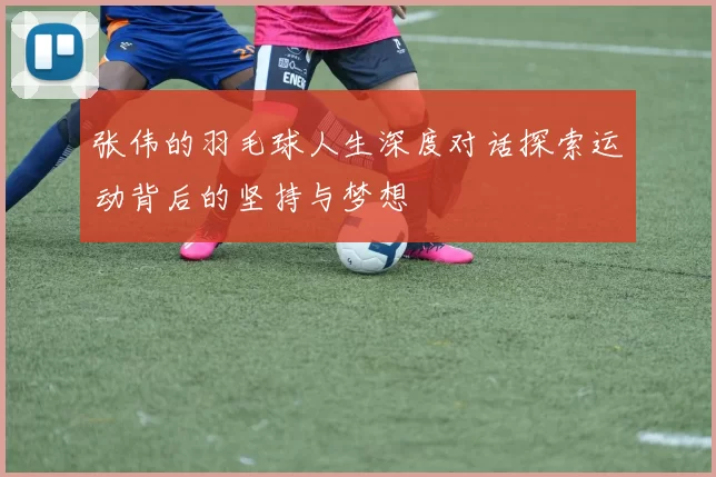 张伟的羽毛球人生深度对话探索运动背后的坚持与梦想