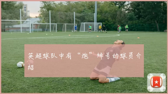 英超球队中有“炮”绰号的球员介绍
