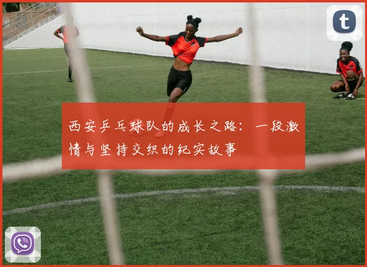 西安乒乓球队的成长之路：一段激情与坚持交织的纪实故事