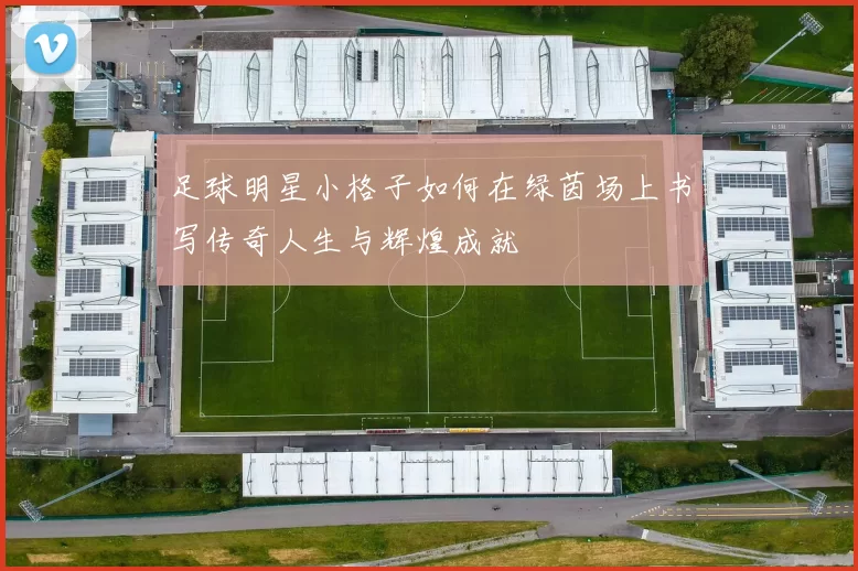 足球明星小格子如何在绿茵场上书写传奇人生与辉煌成就