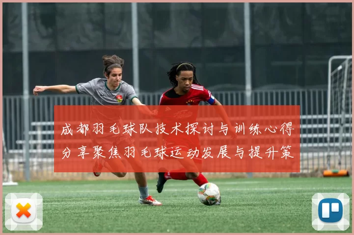 成都羽毛球队技术探讨与训练心得分享聚焦羽毛球运动发展与提升策略