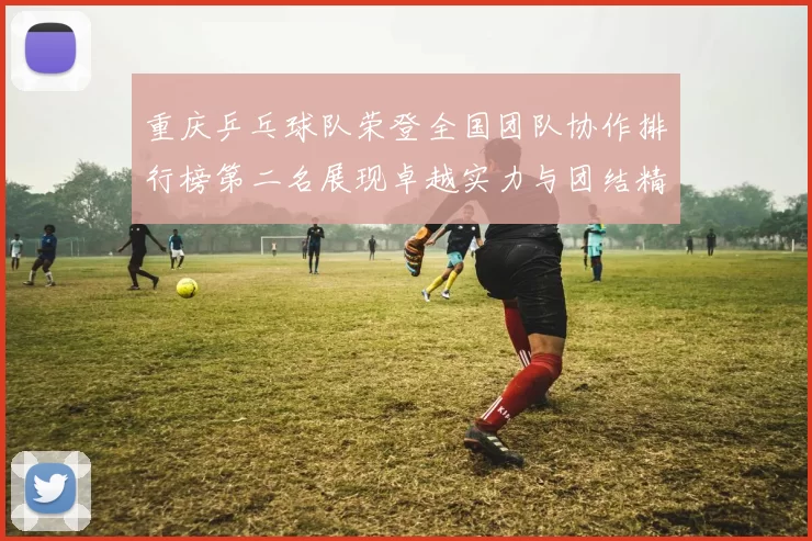 重庆乒乓球队荣登全国团队协作排行榜第二名展现卓越实力与团结精神
