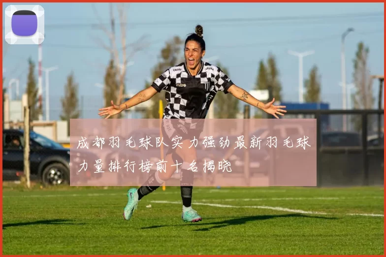 成都羽毛球队实力强劲最新羽毛球力量排行榜前十名揭晓