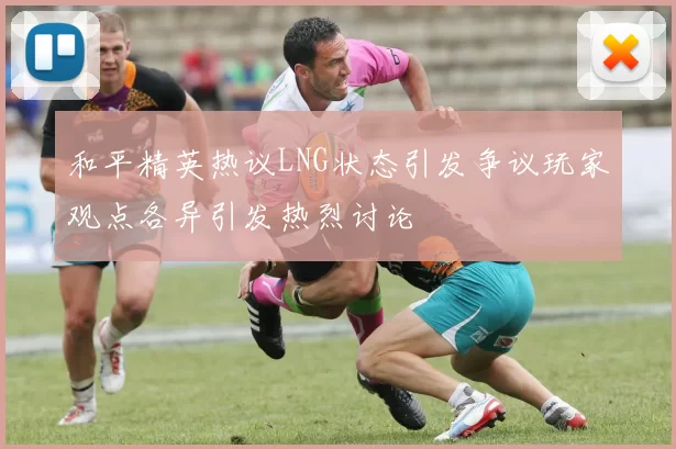 和平精英热议LNG状态引发争议玩家观点各异引发热烈讨论