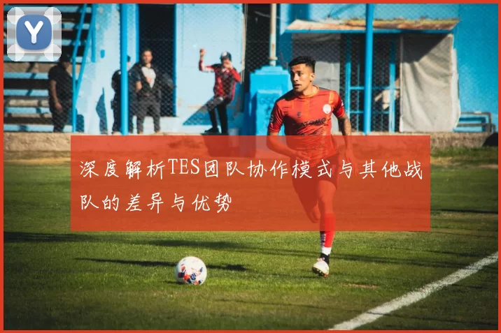 深度解析TES团队协作模式与其他战队的差异与优势