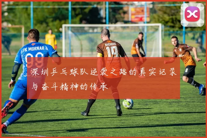 深圳乒乓球队逆袭之路的真实记录与奋斗精神的传承