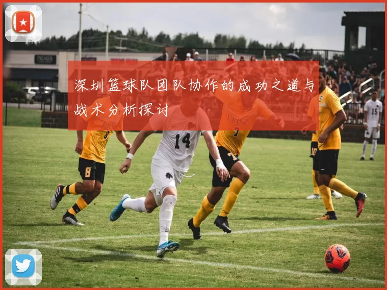 深圳篮球队团队协作的成功之道与战术分析探讨