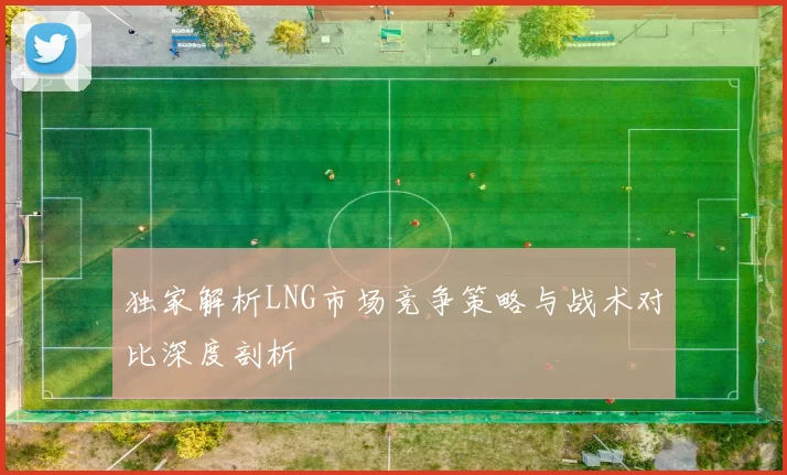 独家解析LNG市场竞争策略与战术对比深度剖析