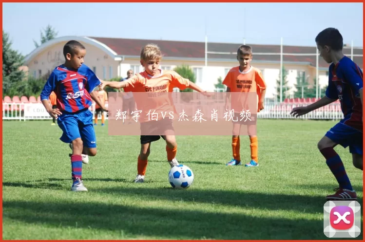 郑宇伯vs杰森肖视频