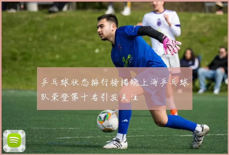 乒乓球状态排行榜揭晓上海乒乓球队荣登第十名引发关注