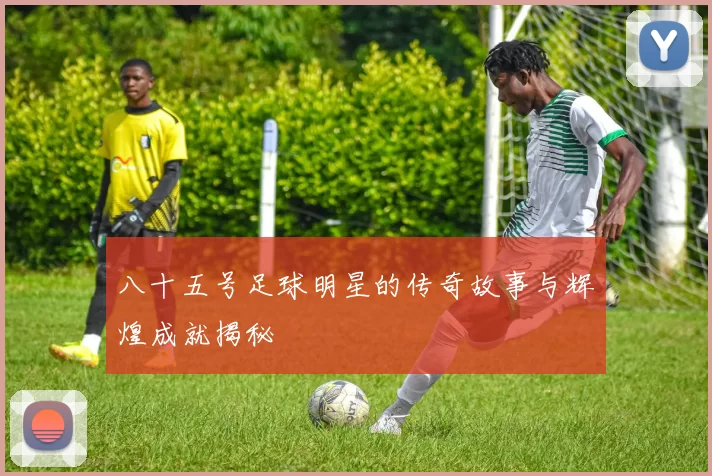 八十五号足球明星的传奇故事与辉煌成就揭秘