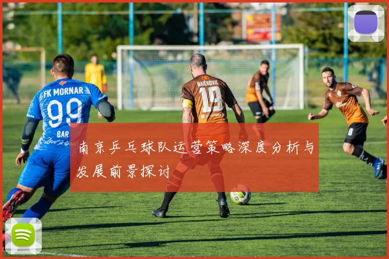 南京乒乓球队运营策略深度分析与发展前景探讨