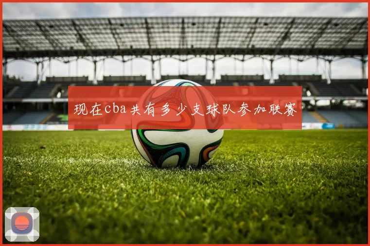 现在cba共有多少支球队参加联赛