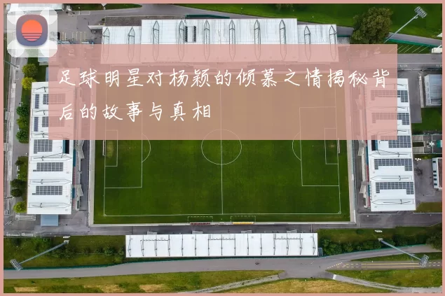 足球明星对杨颖的倾慕之情揭秘背后的故事与真相