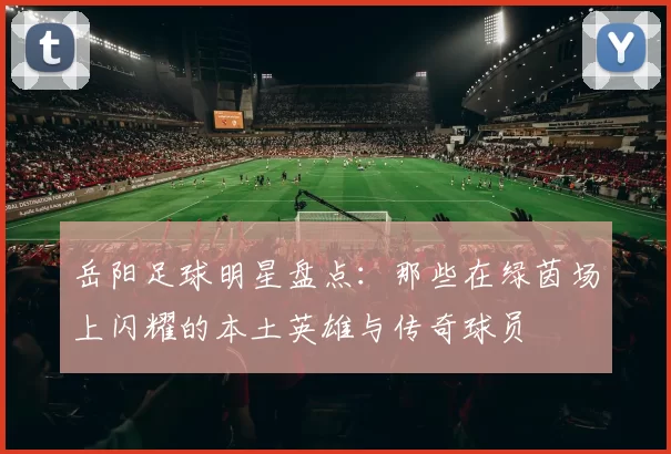 岳阳足球明星盘点：那些在绿茵场上闪耀的本土英雄与传奇球员