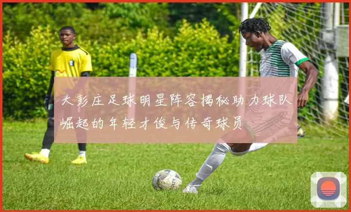 大彭庄足球明星阵容揭秘助力球队崛起的年轻才俊与传奇球员