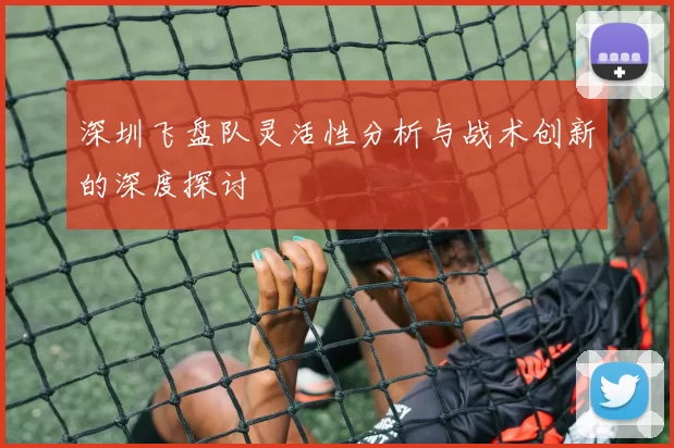 深圳飞盘队灵活性分析与战术创新的深度探讨
