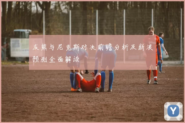 灰熊与尼克斯对决前瞻分析及新浪预测全面解读