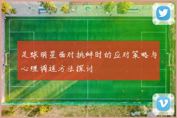 足球明星面对挑衅时的应对策略与心理调适方法探讨