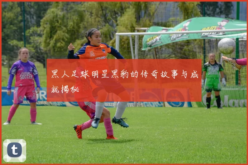 黑人足球明星黑豹的传奇故事与成就揭秘