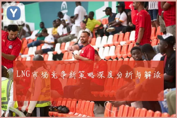 LNG市场竞争新策略深度分析与解读