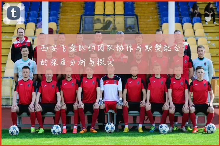 西安飞盘队的团队协作与默契配合的深度分析与探讨