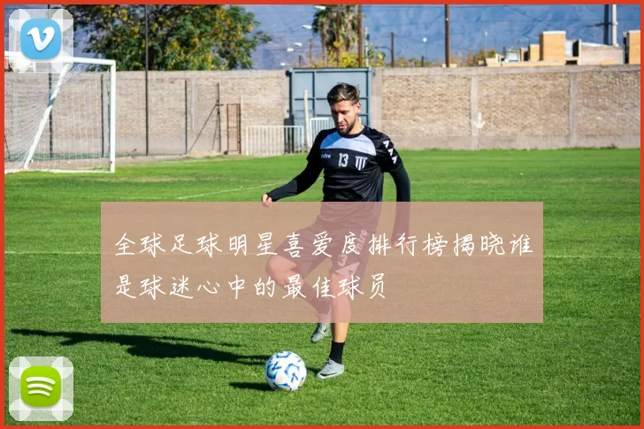 全球足球明星喜爱度排行榜揭晓谁是球迷心中的最佳球员