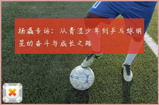 杨磊专访：从青涩少年到乒乓球明星的奋斗与成长之路