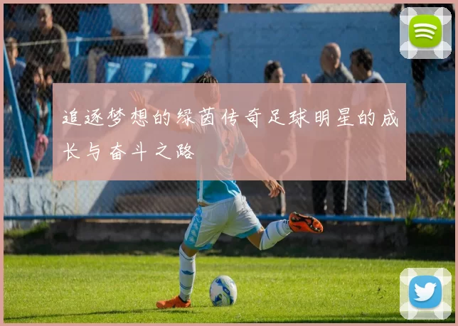 追逐梦想的绿茵传奇足球明星的成长与奋斗之路