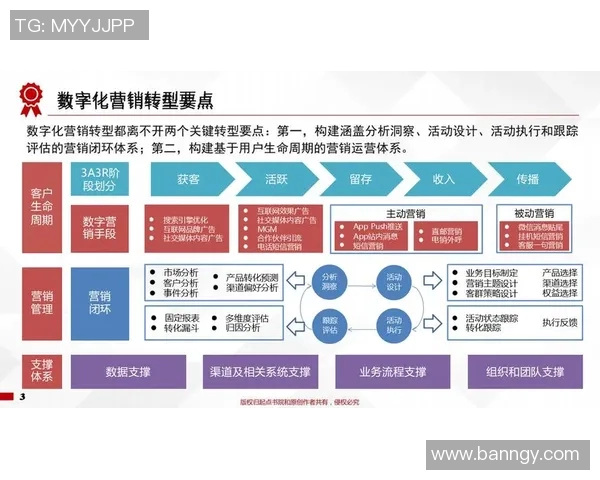 打造创新型个人项目的实施路径与优化策略探索