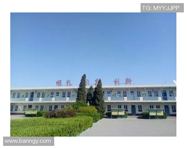 北京排球队的拼搏历程与荣耀时刻全景纪实 北京排球队的拼搏历程与荣耀时刻全景纪实