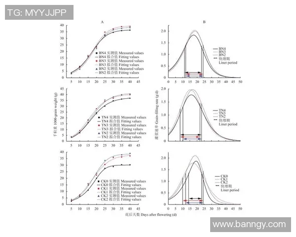 LNG战队中路选手表现分析及其对比赛胜负的影响探讨