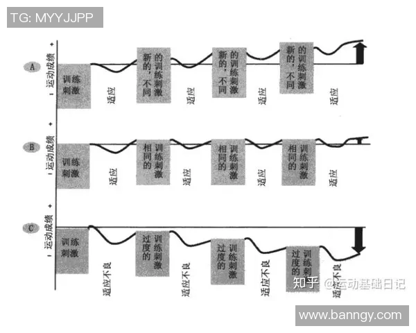 陈军独家分享羽毛球技巧与训练心得助你提升竞技水平 陈军独家分享羽毛球技巧与训练心得助你提升竞技水平