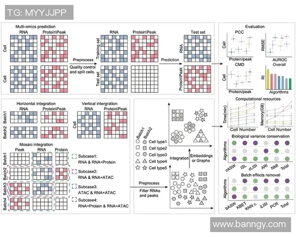 V5在大师赛中的心理素质分析与表现评估 V5在大师赛中的心理素质分析与表现评估