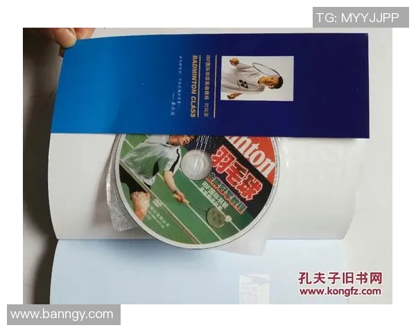 深入分析北京羽毛球队区域防守战术的优势与应用