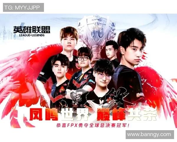 选手视角下的竞技之路：挑战、成长与荣耀的全景展示